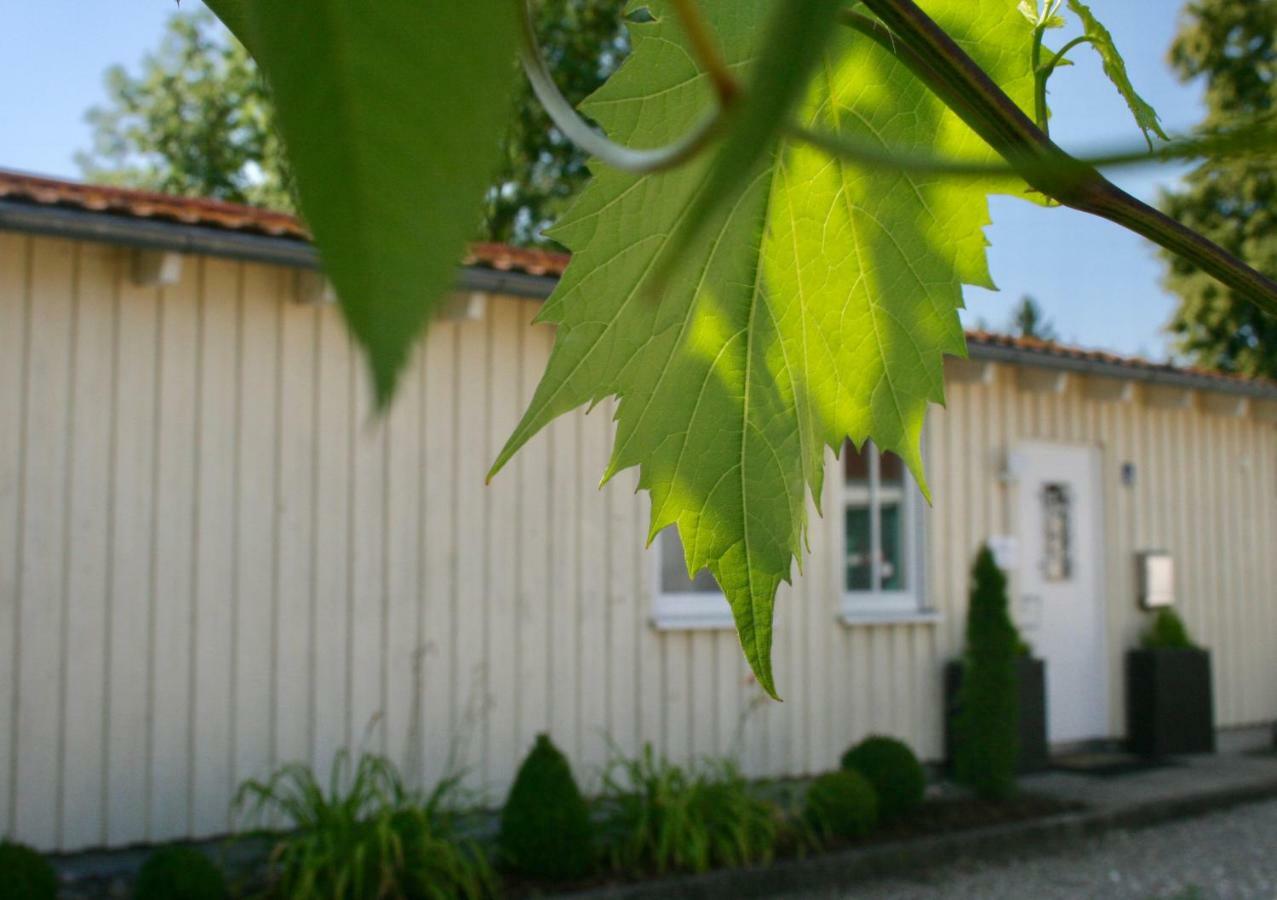 Gaestehaus Gaumenflug Am Guenzburg